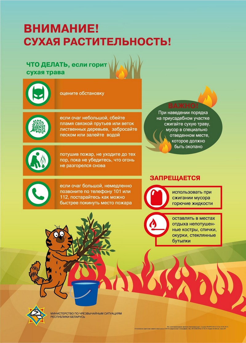 О запрете выжигания сухой растительности